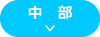 中部